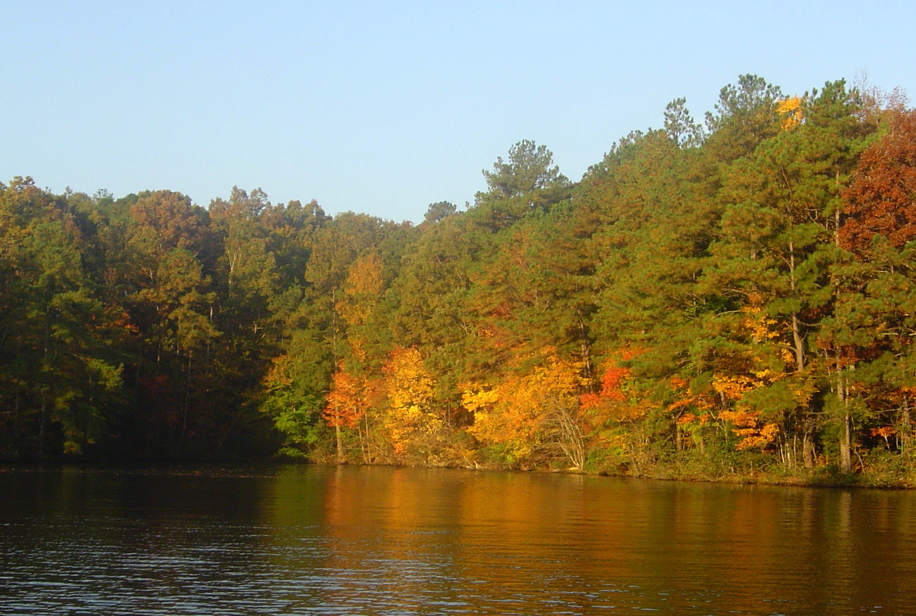 Leaves changing on Lake Gaston